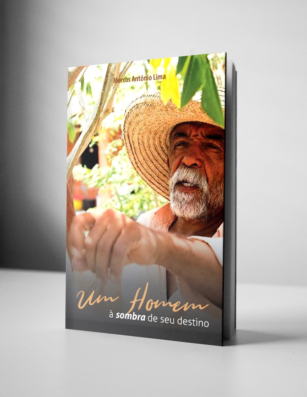 Livro Um homem à sombra de seu destino