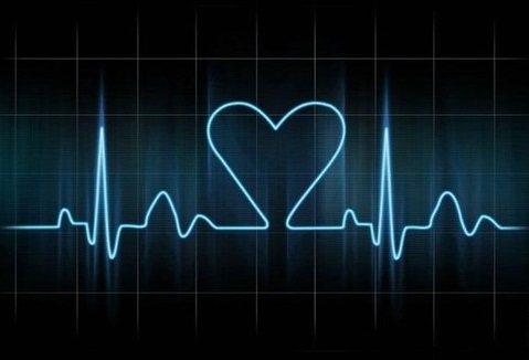 Tom Coelho anatomia do amor